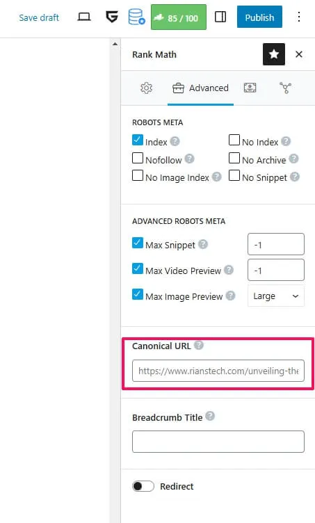 Rank math seo analyzer_canonical tag