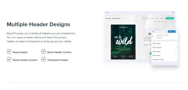 Astra Theme Header Design