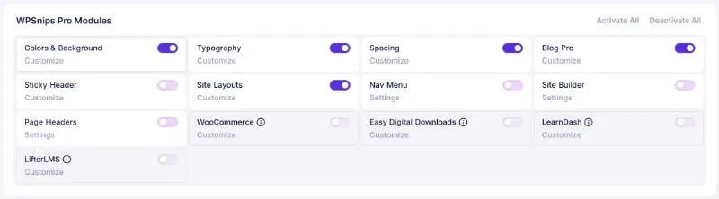 Astra Theme Pro Modules