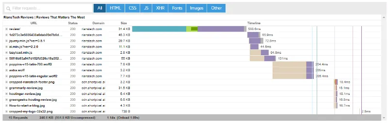 Astra theme test result