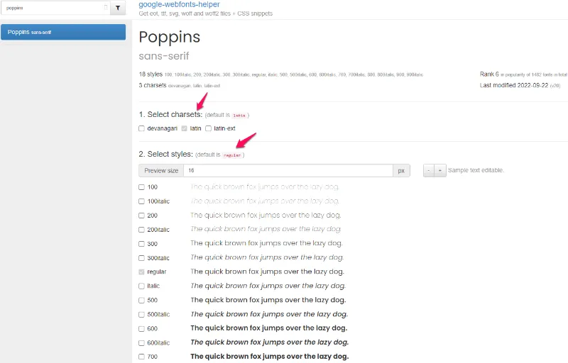 Host Google Font Locally_3
