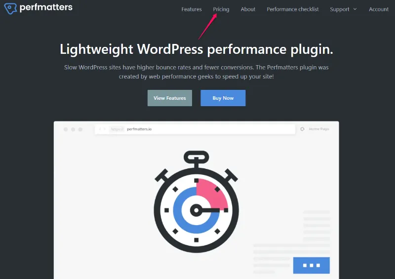 How to get Perfmatters Black Friday Deal